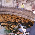 Donauquelle / Donaueschingen (10/2010)